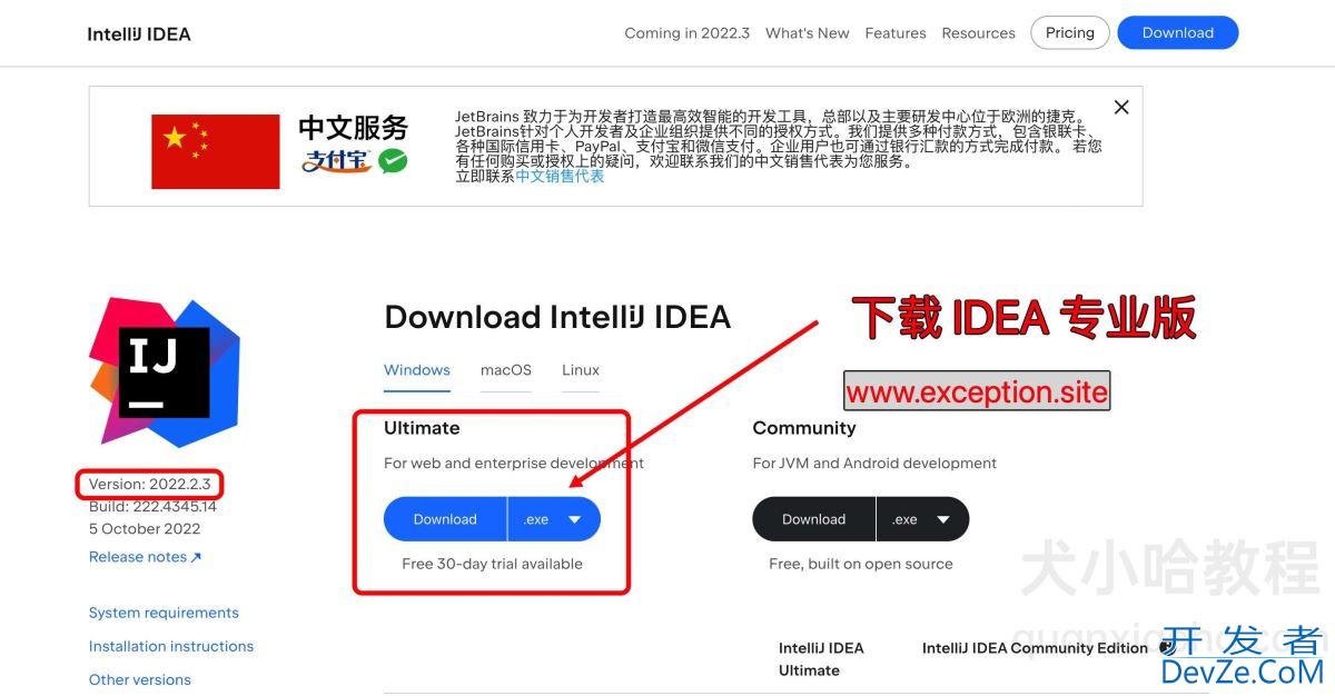 IntelliJ IDEA 2022.2.3最新激活图文教程(亲测有用永久激活)