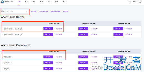 Linux环境下的Java（JDBC）连接openGauss数据库实践记录