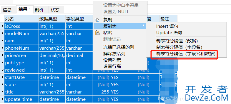 利用Navicat Premium导出数据库表结构信息至Excel的方法