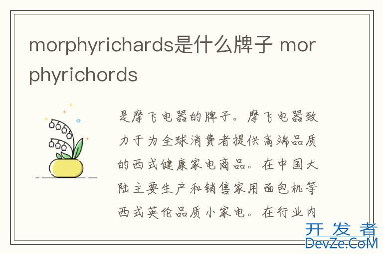 morphyrichards是什么牌子 morphyrichords