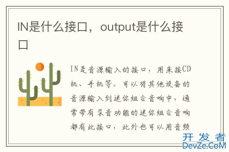 IN是什么接口，output是什么接口