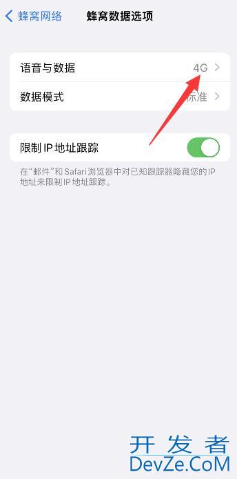 iPhone11怎么从4G升5G，iphone12怎么调4g5g