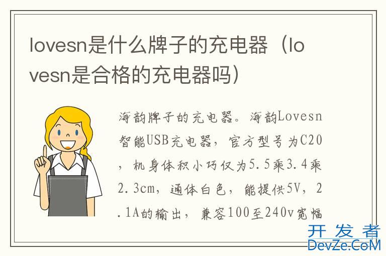 lovesn是什么牌子的充电器（lovesn是合格的充电器吗）