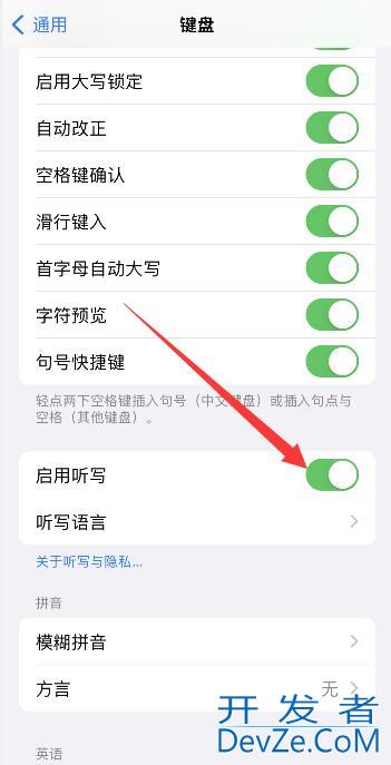 iPhone手机语音转文字怎么设置（iphone手机如何语音转文字）