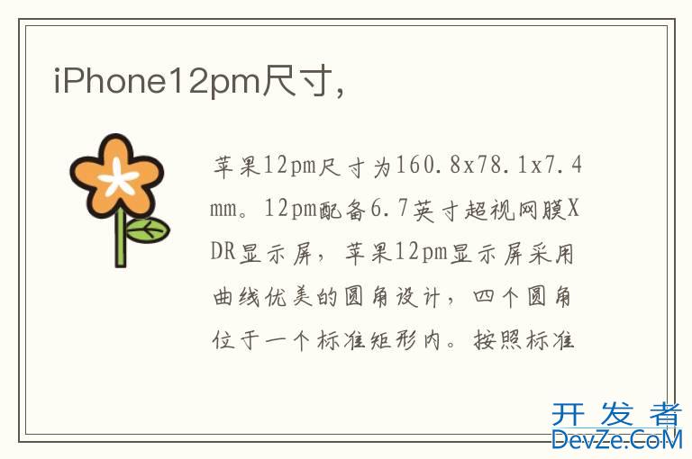 iPhone12pm尺寸，