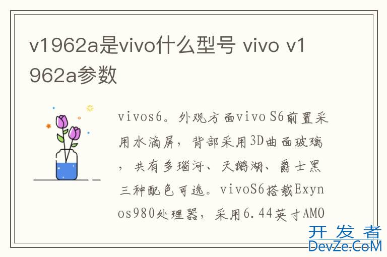 v1962a是vivo什么型号 vivo v1962a参数
