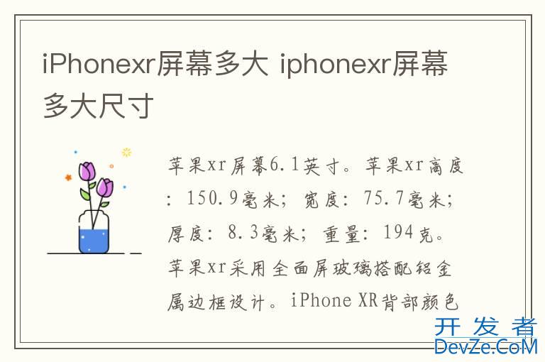 iPhonexr屏幕多大 iphonexr屏幕多大尺寸