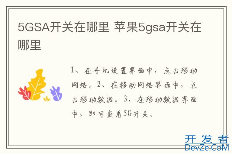 5GSA开关在哪里 苹果5gsa开关在哪里