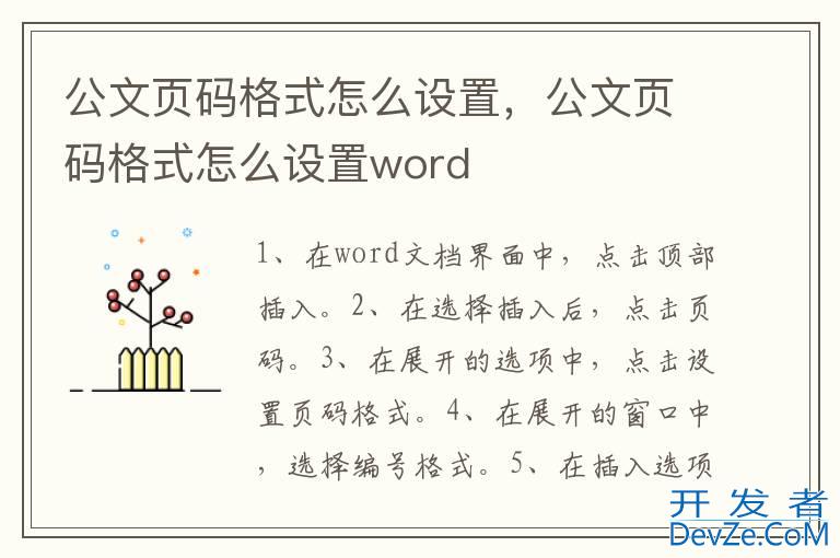 公文页码格式怎么设置，公文页码格式怎么设置word