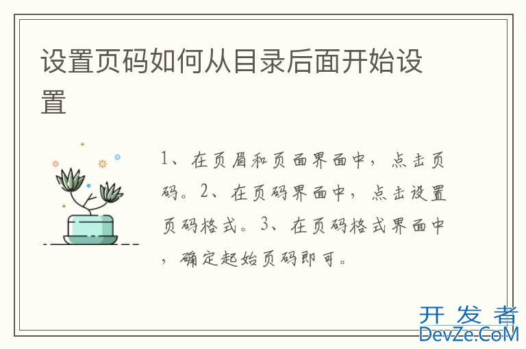 设置页码如何从目录后面开始设置