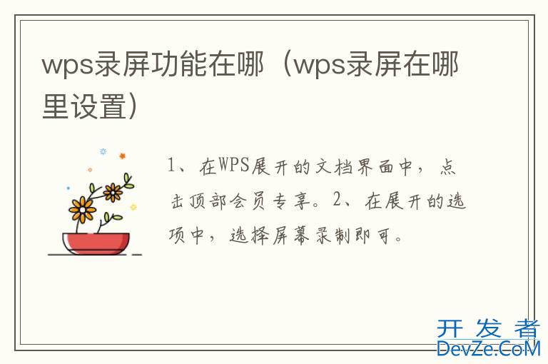 wps录屏功能在哪（wps录屏在哪里设置）