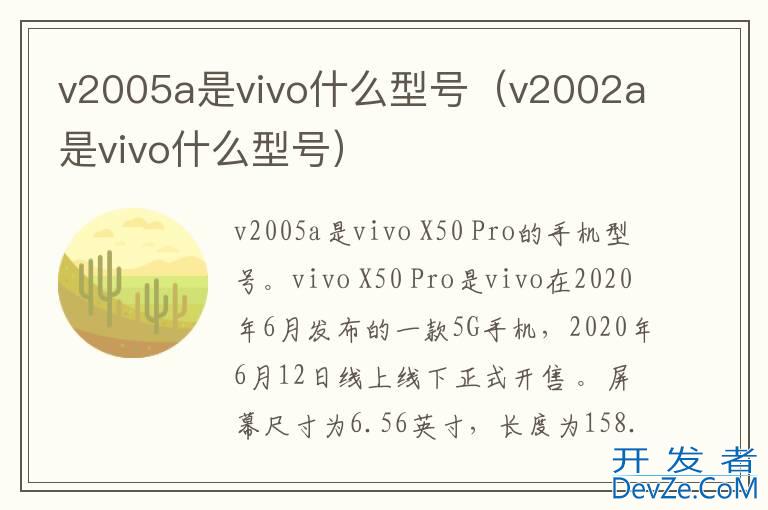 v2005a是vivo什么型号（v2002a是vivo什么型号）