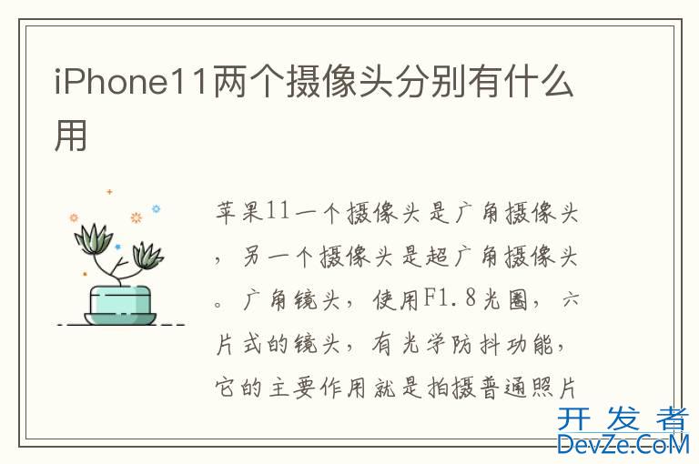 iPhone11两个摄像头分别有什么用