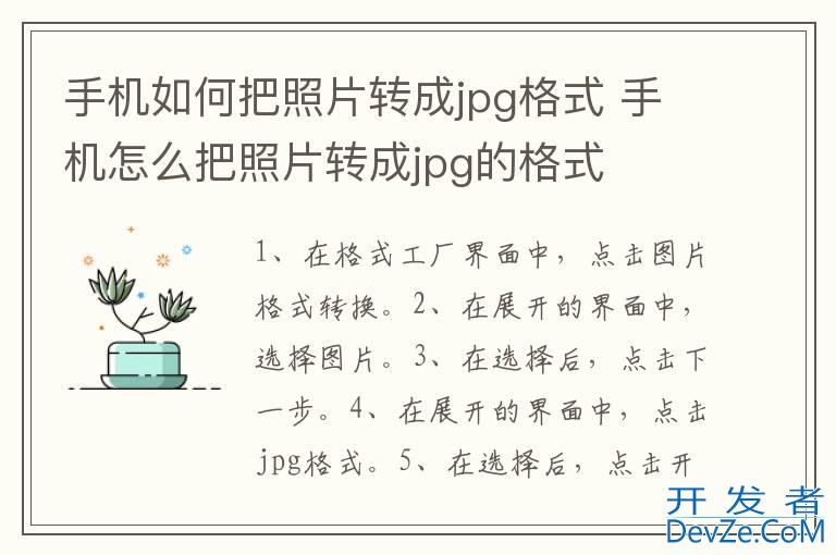 手机如何把照片转成jpg格式 手机怎么把照片转成jpg的格式