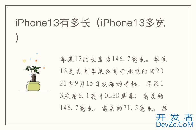 iPhone13有多长（iPhone13多宽）