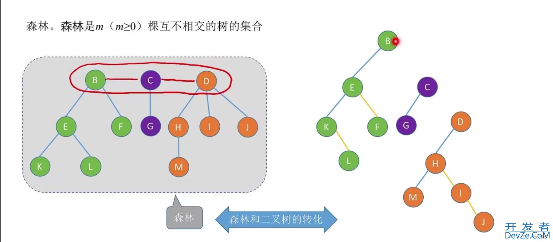 C语言数据结构中树与森林专项详解