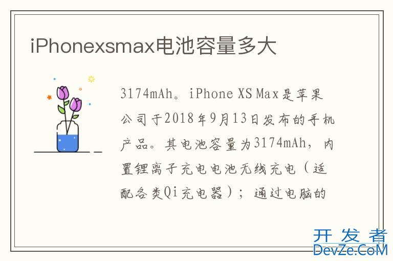 iPhonexsmax电池容量多大