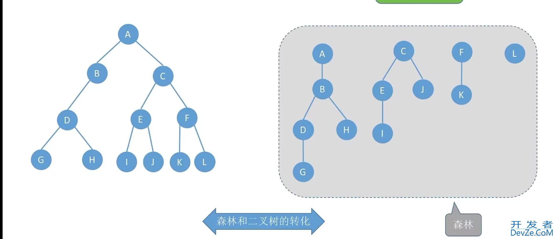 C语言数据结构中树与森林专项详解