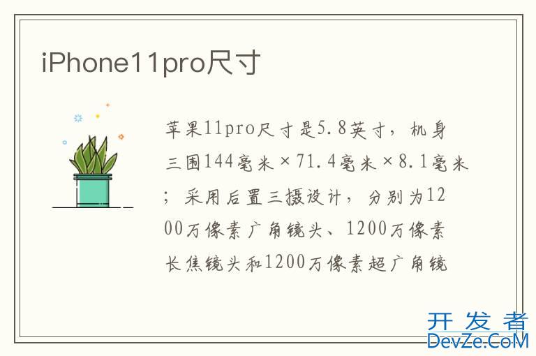 iPhone11pro尺寸