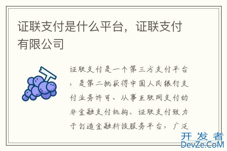 证联支付是什么平台，证联支付有限公司