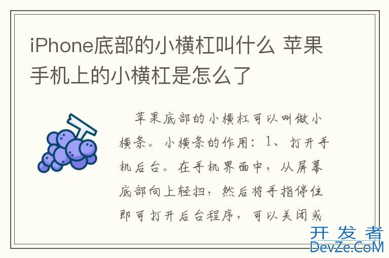 iPhone底部的小横杠叫什么 苹果手机上的小横杠是怎么了