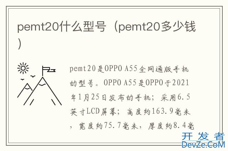 pemt20什么型号（pemt20多少钱）