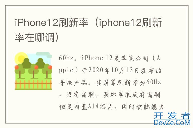 iPhone12刷新率（iphone12刷新率在哪调）