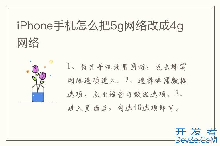 iPhone手机怎么把5g网络改成4g网络