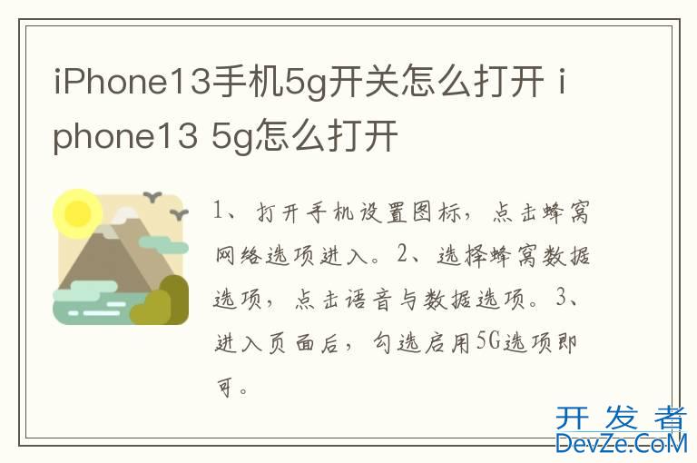 iPhone13手机5g开关怎么打开 iphone13 5g怎么打开