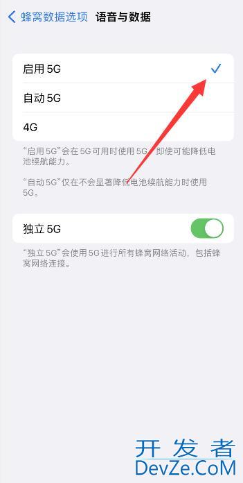 iPhone13手机5g开关怎么打开 iphone13 5g怎么打开