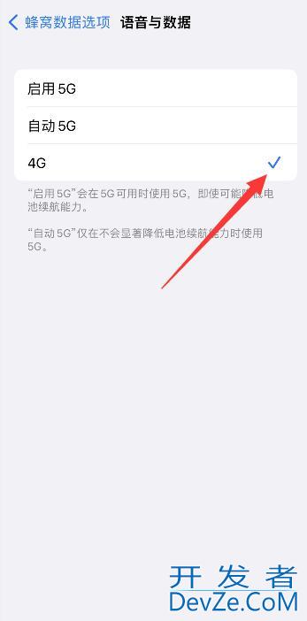 iPhone手机怎么把5g网络改成4g网络