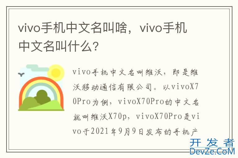 vivo手机中文名叫啥，vivo手机中文名叫什么?