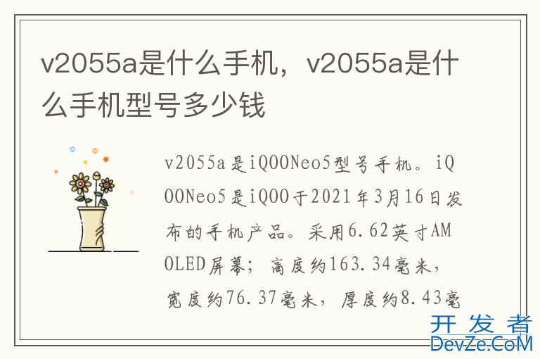 v2055a是什么手机，v2055a是什么手机型号多少钱