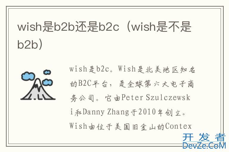 wish是b2b还是b2c（wish是不是b2b）