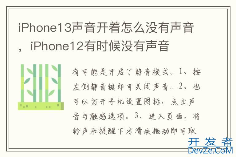 iPhone13声音开着怎么没有声音，iPhone12有时候没有声音