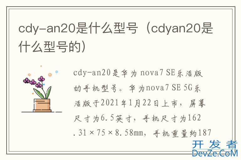 cdy-an20是什么型号（cdyan20是什么型号的）