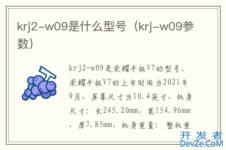 krj2-w09是什么型号（krj-w09参数）