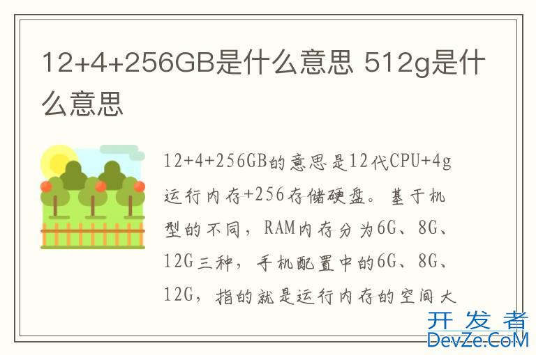 12+4+256GB是什么意思 512g是什么意思