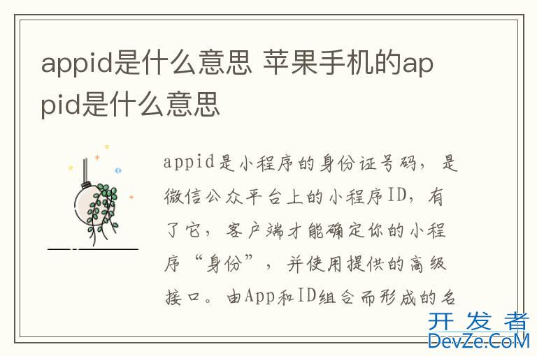 appid是什么意思 苹果手机的appid是什么意思