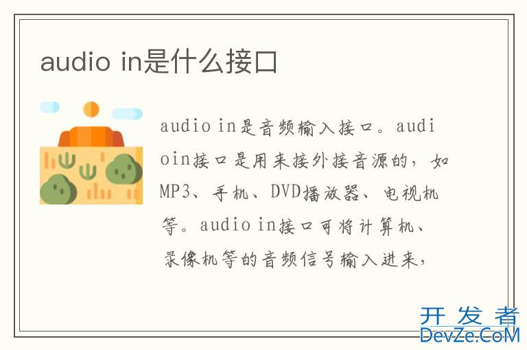 audio in是什么接口