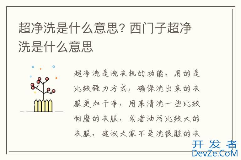 超净洗是什么意思? 西门子超净洗是什么意思