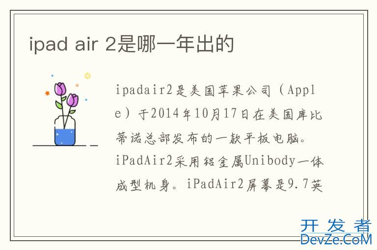 ipad air 2是哪一年出的