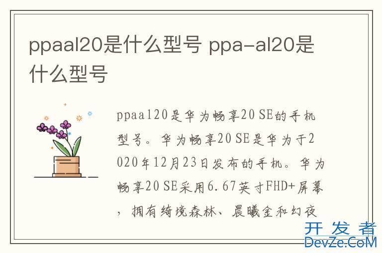 ppaal20是什么型号 ppa-al20是什么型号