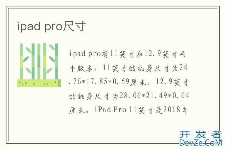 ipad pro尺寸