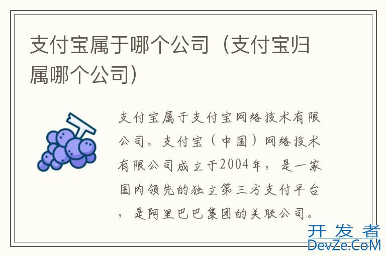 支付宝属于哪个公司（支付宝归属哪个公司）