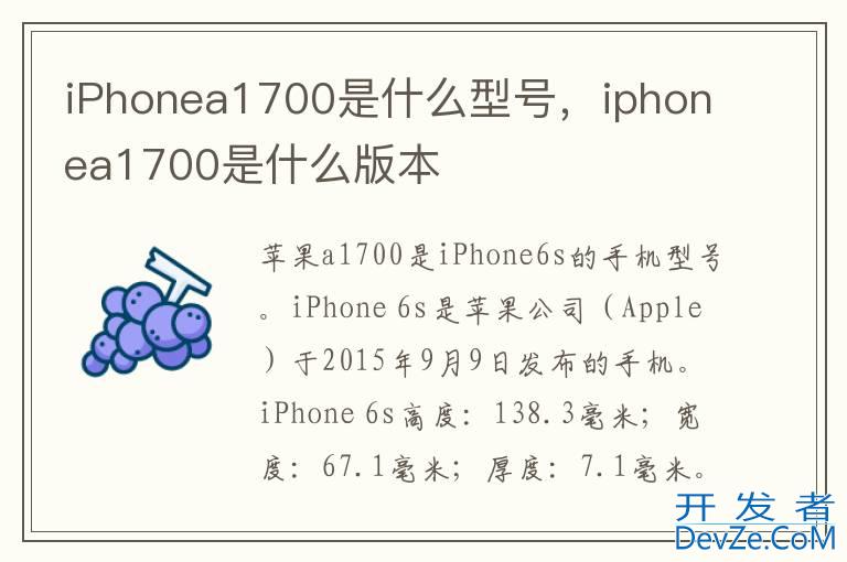 iPhonea1700是什么型号，iphonea1700是什么版本