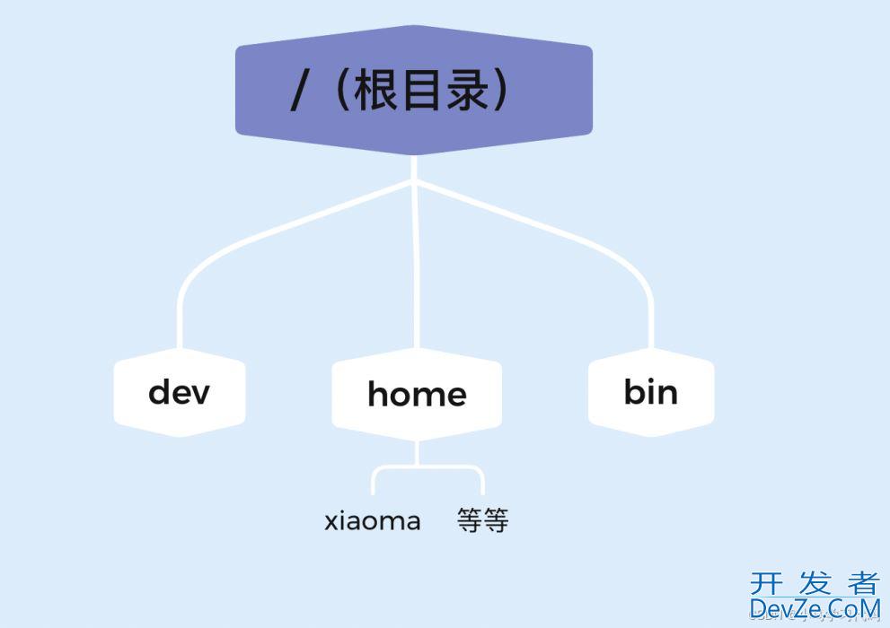 三分钟学会Linux基本指令