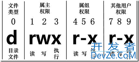 Linux中文件的基本属性介绍