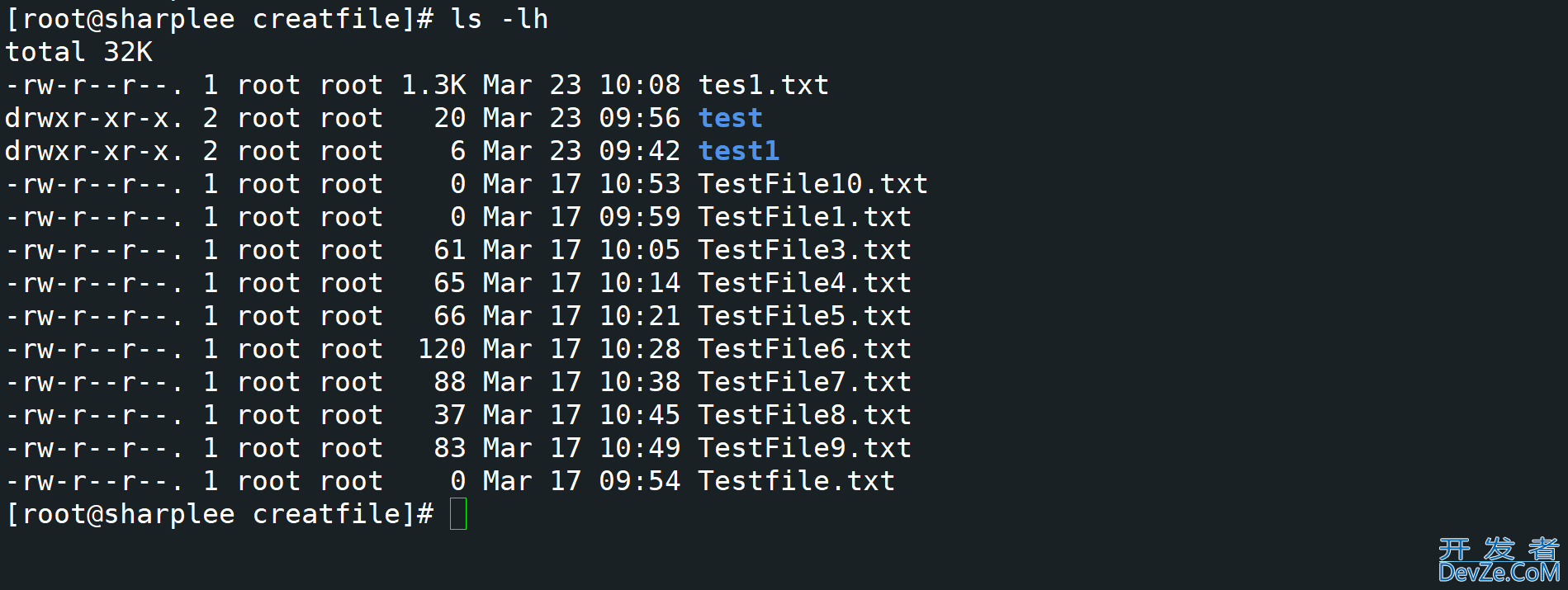 Linux 中ls命令的使用详细介绍