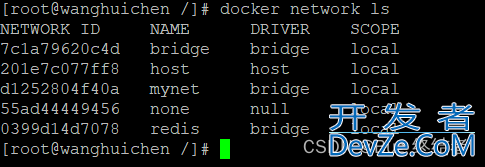 Docker中部署Redis集群与部署微服务项目的详细过程